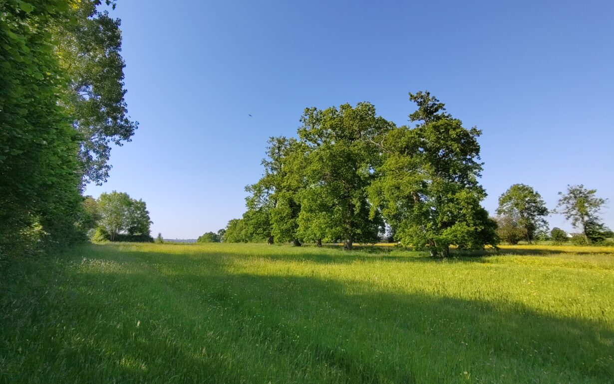2025 05 pgdh msv manche (3)