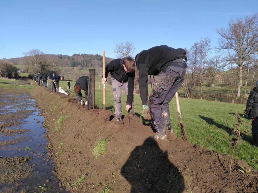 2026 01 27 chantier plantation mfr cerisy (13)