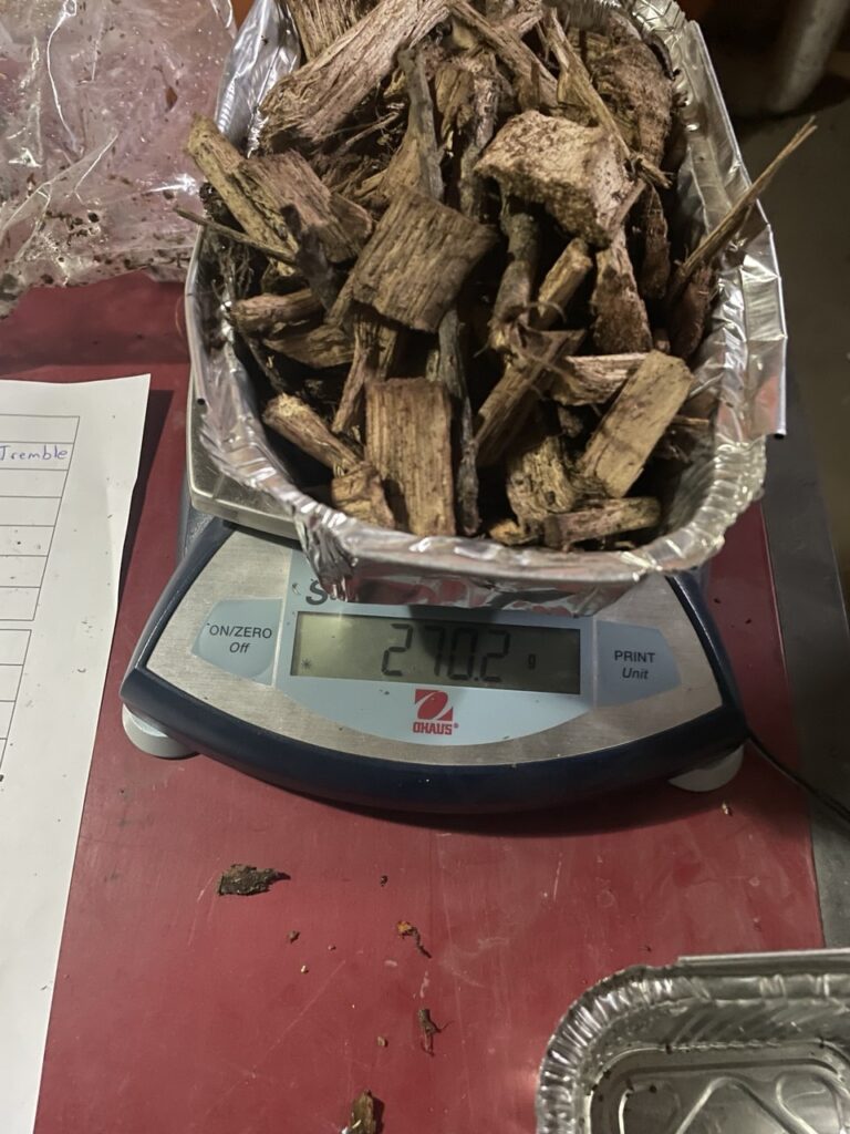 photo 2026 02 24 10 30 32